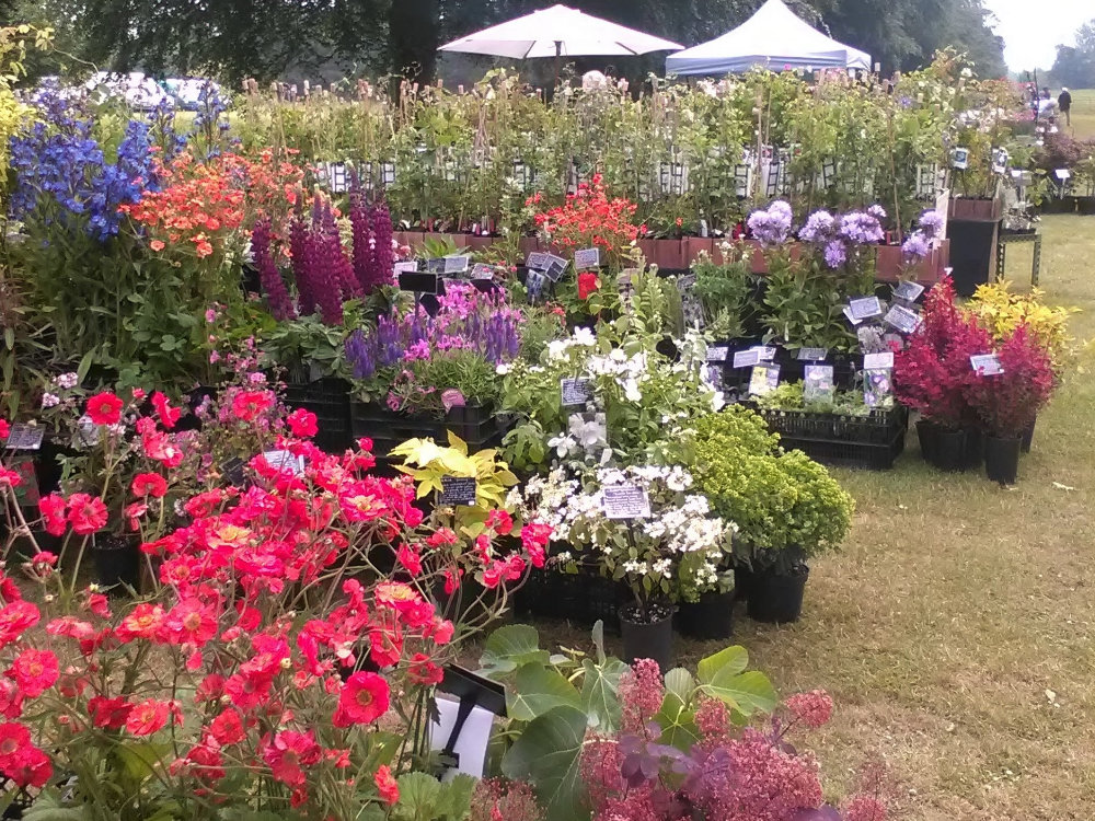 Rare Plant Fair